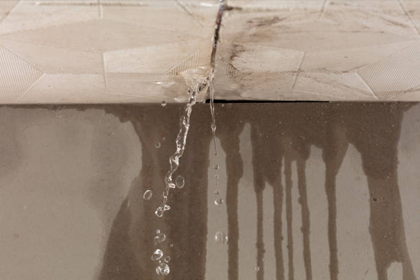 Professional Structural Drying technician working in North Washington, PA